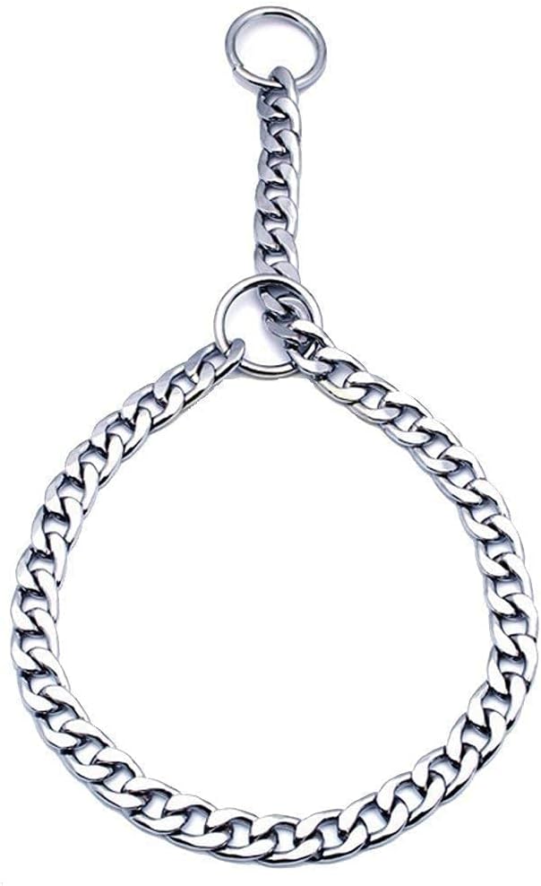 PSK PET MART Dog Collar & Chain (Small, Silver)
