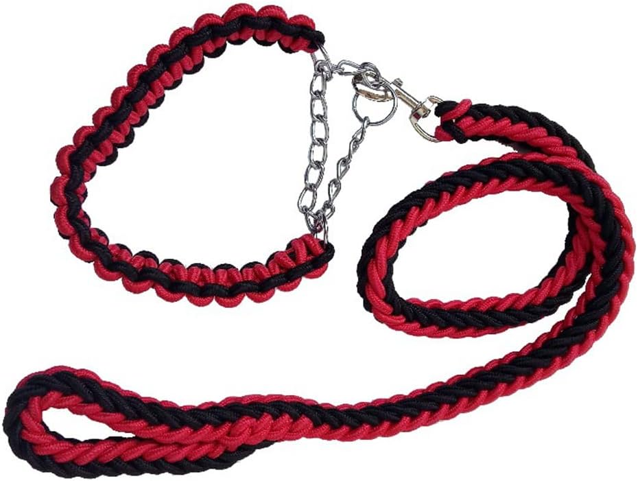 JICC Dog Collar and Leash-Reddish