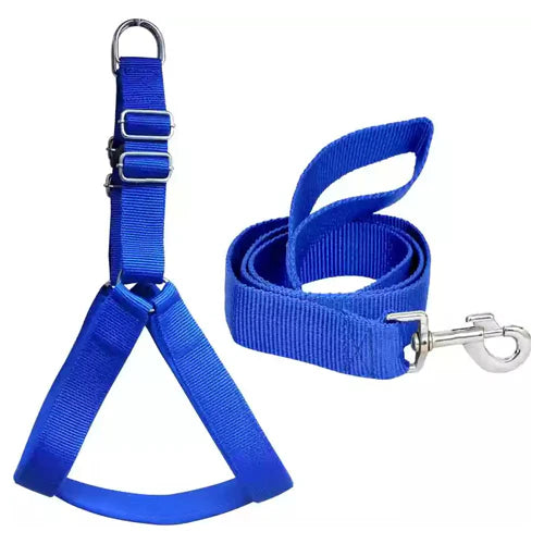 Fancy Blue XL Dog Leash