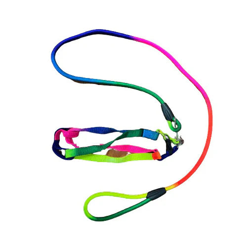 MaxiColor Rainbow Leash Large