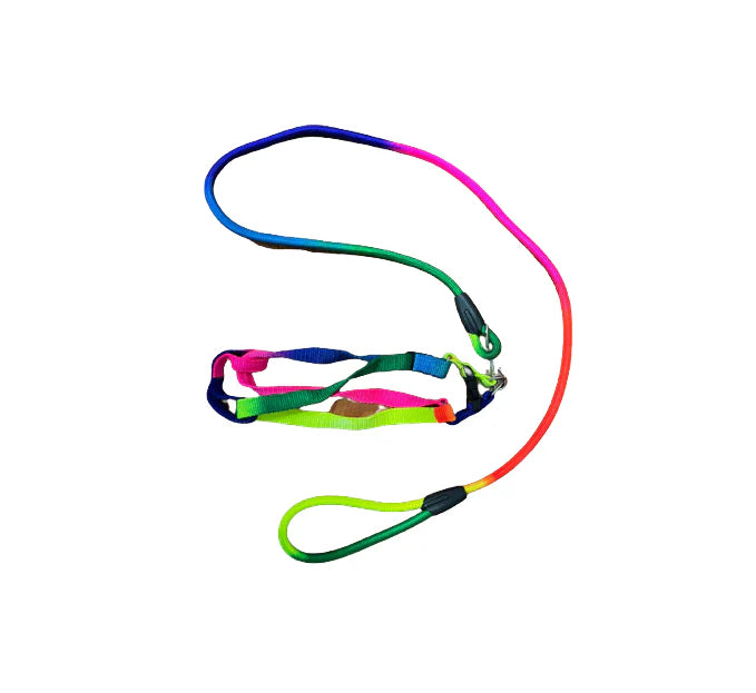 MaxiColor Rainbow Leash Small